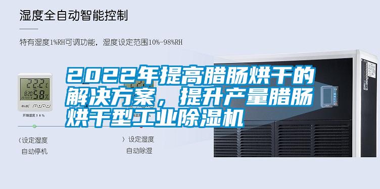 2022年提高臘腸烘干的解決方案，提升產(chǎn)量臘腸烘干型工業(yè)除濕機(jī)