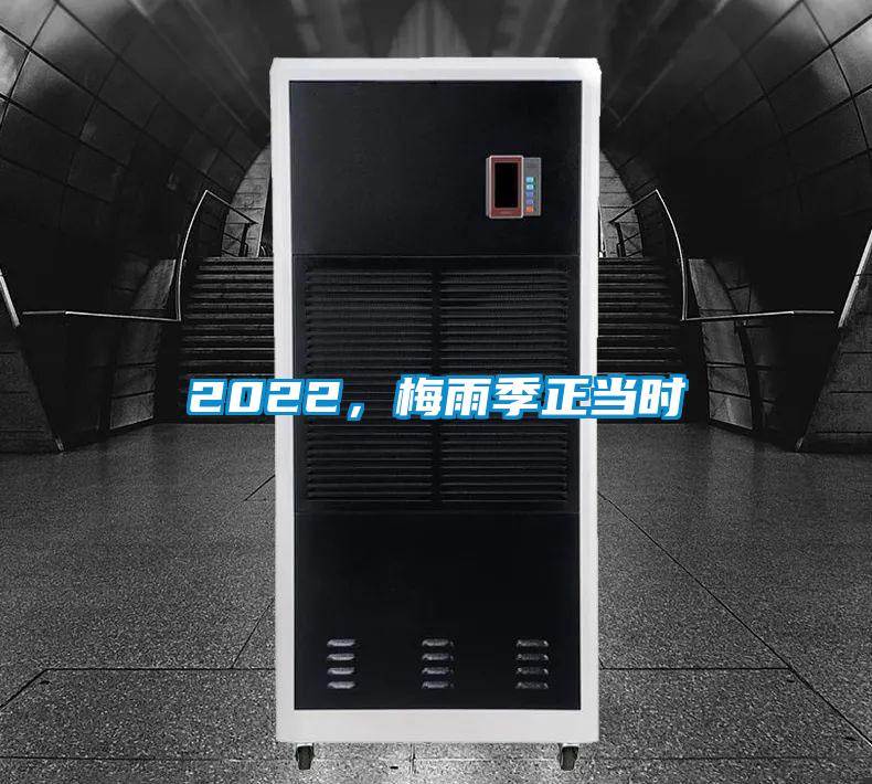 2022，梅雨季正當(dāng)時