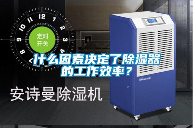 什么因素決定了除濕器的工作效率？