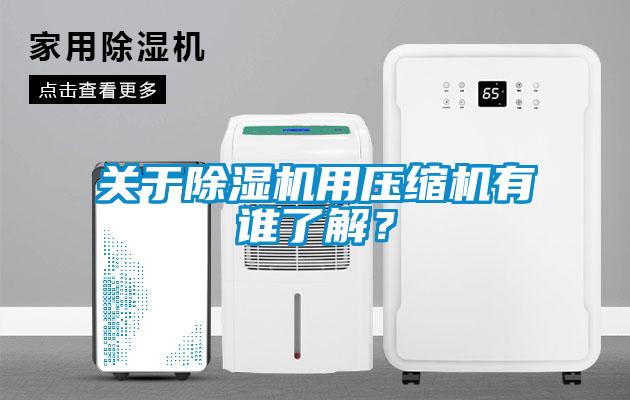 關于除濕機用壓縮機有誰了解？