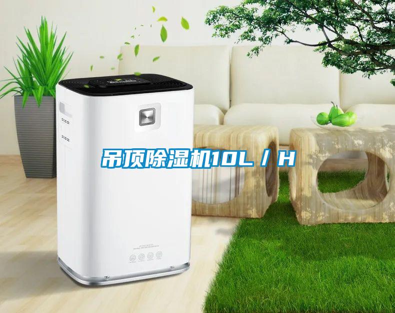 吊頂除濕機(jī)10L／H