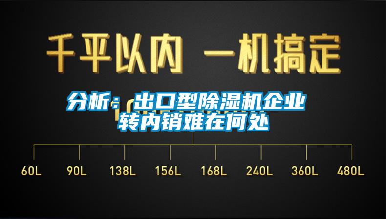 分析：出口型除濕機(jī)企業(yè) 轉(zhuǎn)內(nèi)銷難在何處