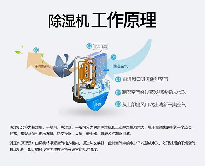 南北之爭：南方的濕冷比北方的干冷更變態(tài)？