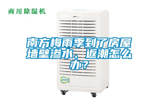 南方梅雨季到了房屋墻壁滲水、返潮怎么辦？