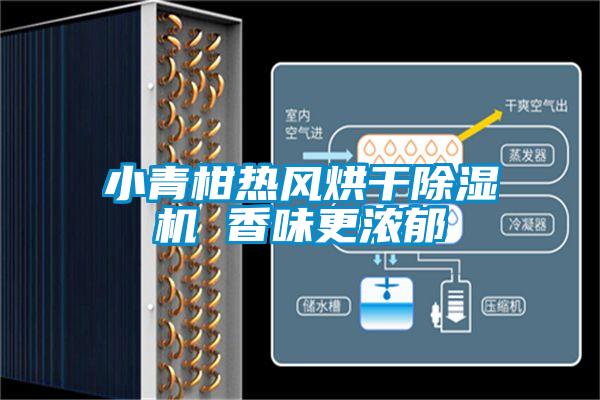 小青柑熱風(fēng)烘干除濕機 香味更濃郁