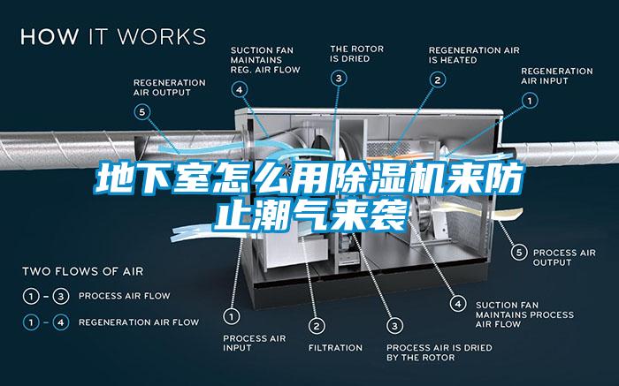 地下室怎么用除濕機來防止潮氣來襲