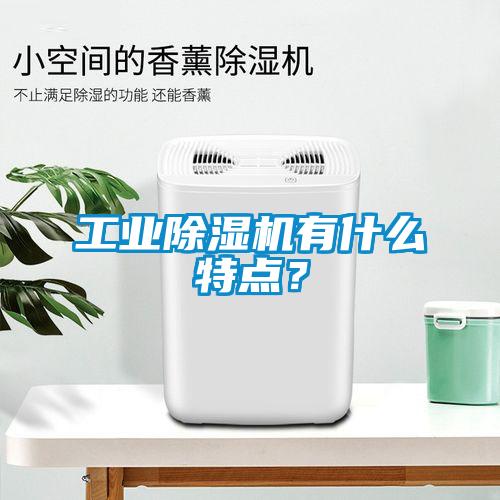 工業(yè)除濕機有什么特點？