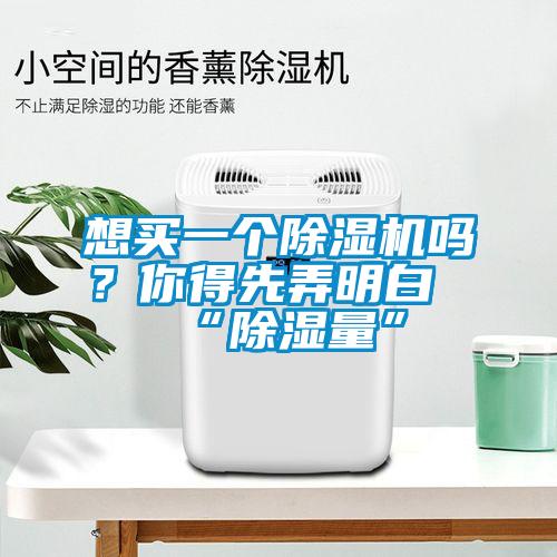 想買一個(gè)除濕機(jī)嗎？你得先弄明白“除濕量”