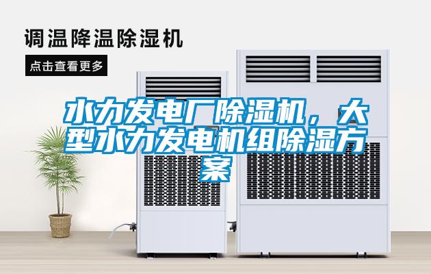 水力發(fā)電廠除濕機(jī)，大型水力發(fā)電機(jī)組除濕方案