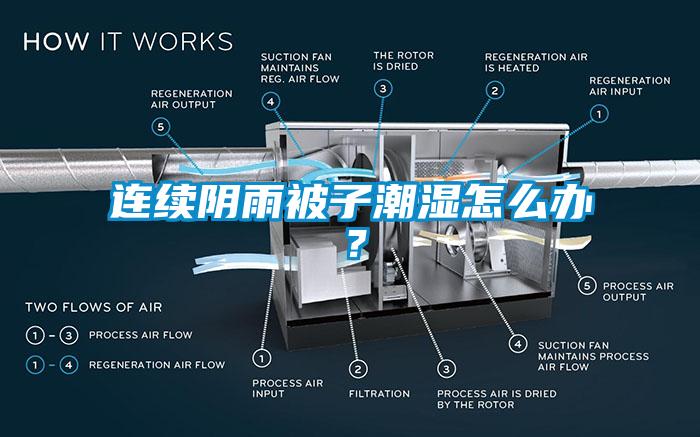 連續(xù)陰雨被子潮濕怎么辦？