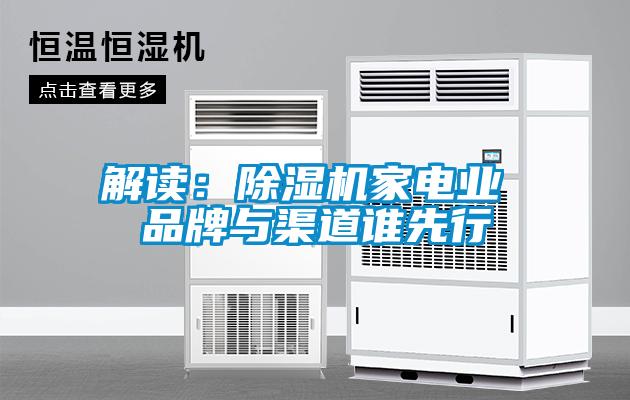 解讀：除濕機(jī)家電業(yè) 品牌與渠道誰(shuí)先行