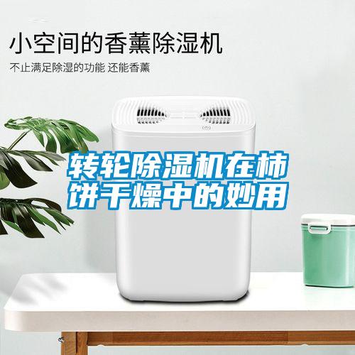 轉(zhuǎn)輪除濕機在柿餅干燥中的妙用