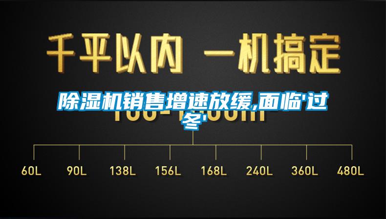 除濕機(jī)銷售增速放緩,面臨'過(guò)冬'