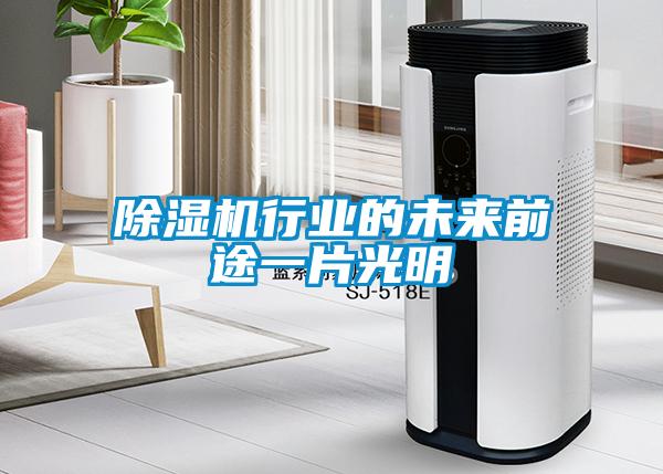 除濕機(jī)行業(yè)的未來前途一片光明