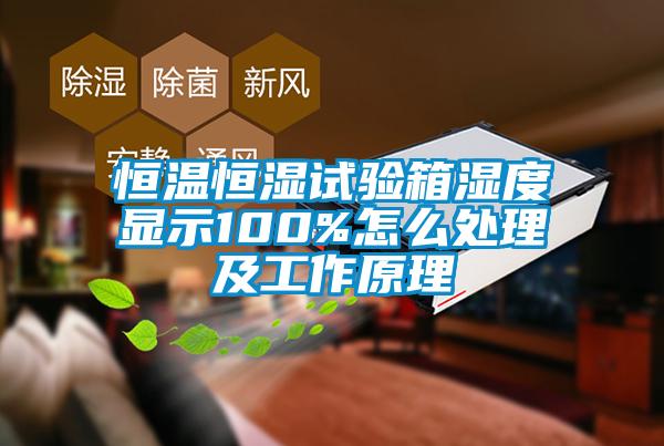 恒溫恒濕試驗箱濕度顯示100%怎么處理及工作原理