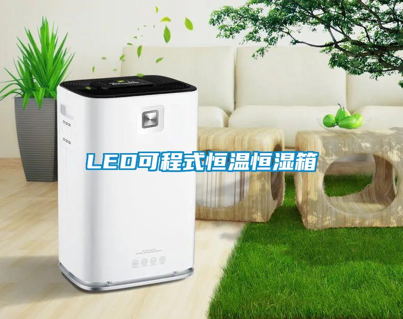 LED可程式恒溫恒濕箱