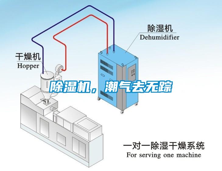 除濕機，潮氣去無蹤