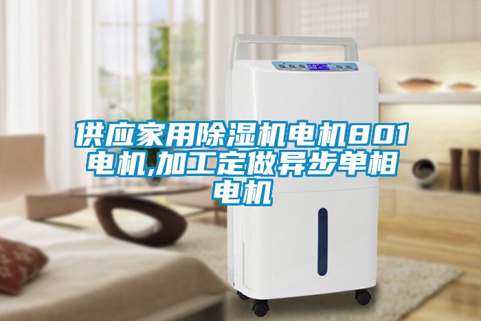 供應(yīng)家用除濕機電機801電機,加工定做異步單相電機