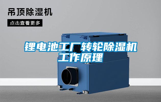 鋰電池工廠轉(zhuǎn)輪除濕機工作原理