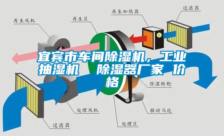 宜賓市車間除濕機(jī)，工業(yè)抽濕機(jī)  除濕器廠家 價(jià)格