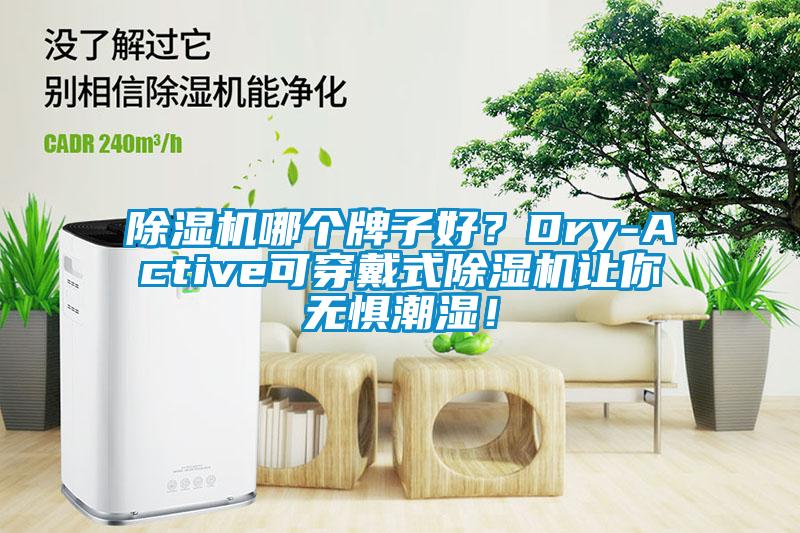 除濕機哪個牌子好？Dry-Active可穿戴式除濕機讓你無懼潮濕！