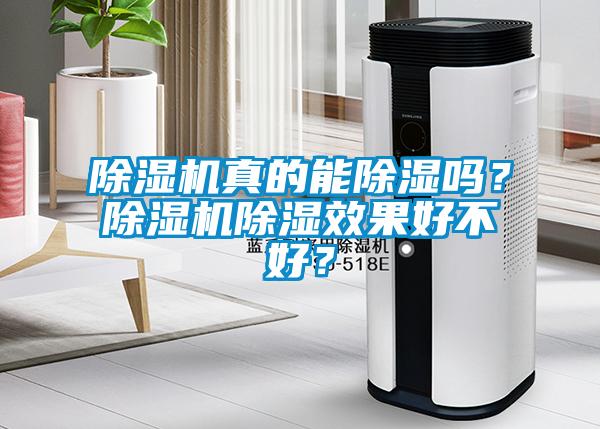 除濕機真的能除濕嗎？除濕機除濕效果好不好？