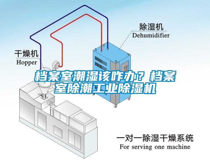 檔案室潮濕該咋辦？檔案室除潮工業(yè)除濕機(jī)