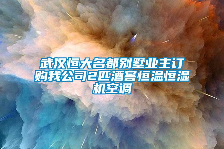 武漢恒大名都別墅業(yè)主訂購我公司2匹酒窖恒溫恒濕機空調(diào)