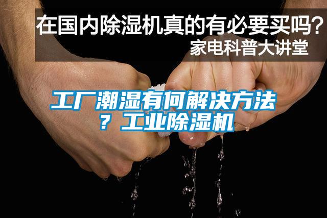 工廠潮濕有何解決方法？工業(yè)除濕機