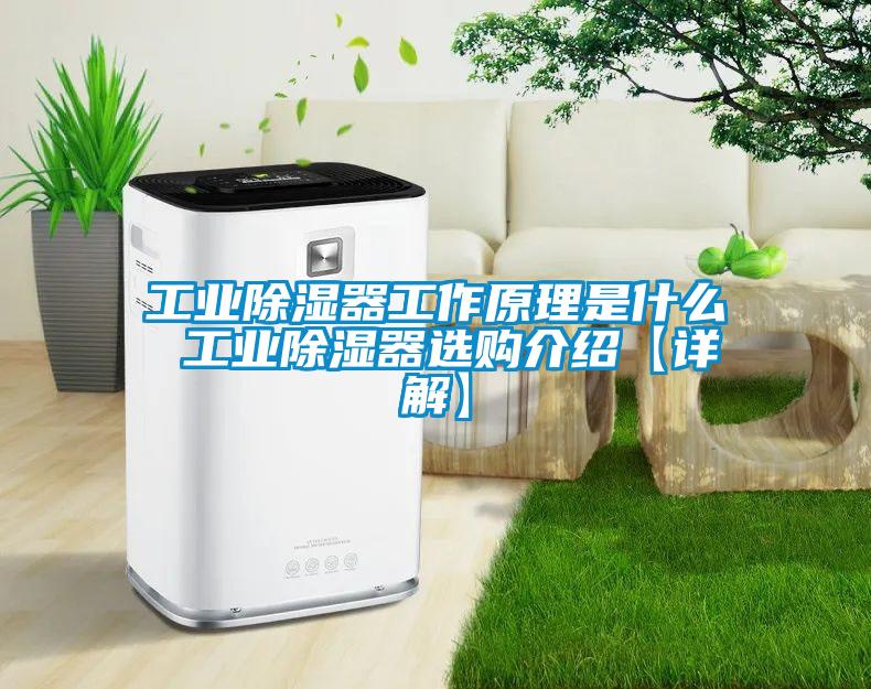 工業(yè)除濕器工作原理是什么 工業(yè)除濕器選購(gòu)介紹【詳解】