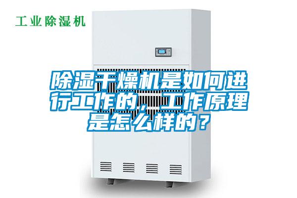 除濕干燥機是如何進行工作的，工作原理是怎么樣的？