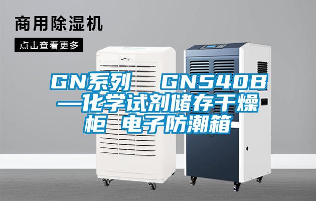 GN系列  GN540B—化學(xué)試劑儲存干燥柜 電子防潮箱