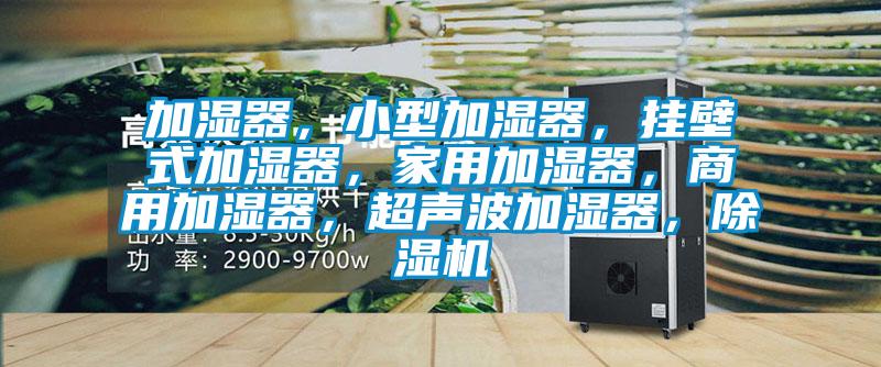 加濕器，小型加濕器，掛壁式加濕器，家用加濕器，商用加濕器，超聲波加濕器，除濕機