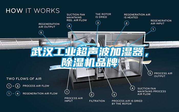 武漢工業(yè)超聲波加濕器，除濕機(jī)品牌