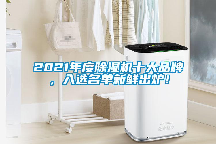 2021年度除濕機(jī)十大品牌，入選名單新鮮出爐！