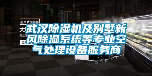 武漢除濕機及別墅新風除濕系統(tǒng)等專業(yè)空氣處理設備服務商