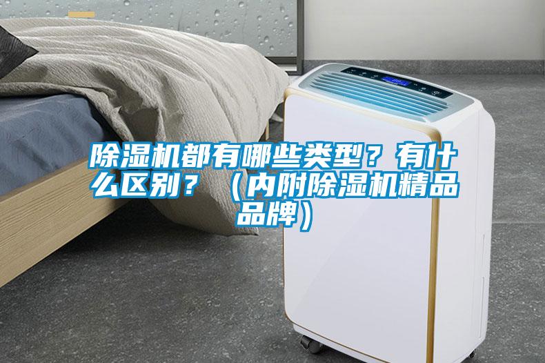 除濕機都有哪些類型？有什么區(qū)別？（內附除濕機精品品牌）