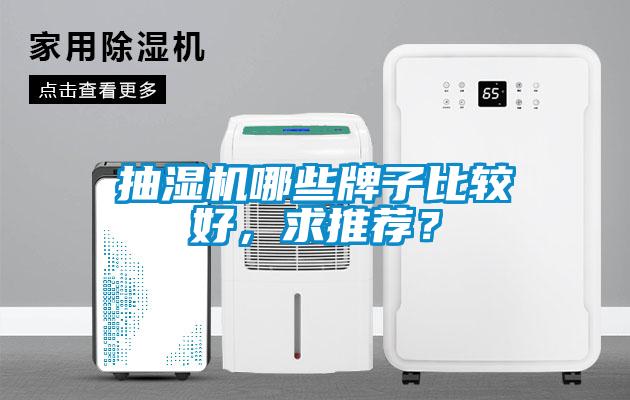 抽濕機哪些牌子比較好，求推薦？