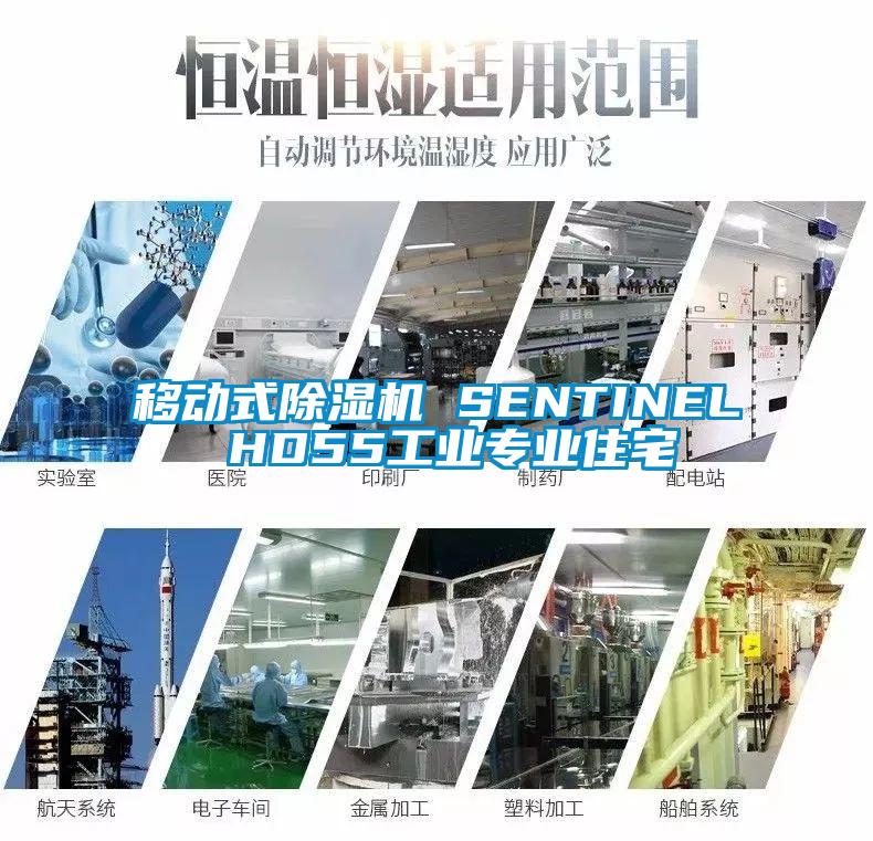 移動(dòng)式除濕機(jī) SENTINEL HD55工業(yè)專業(yè)住宅