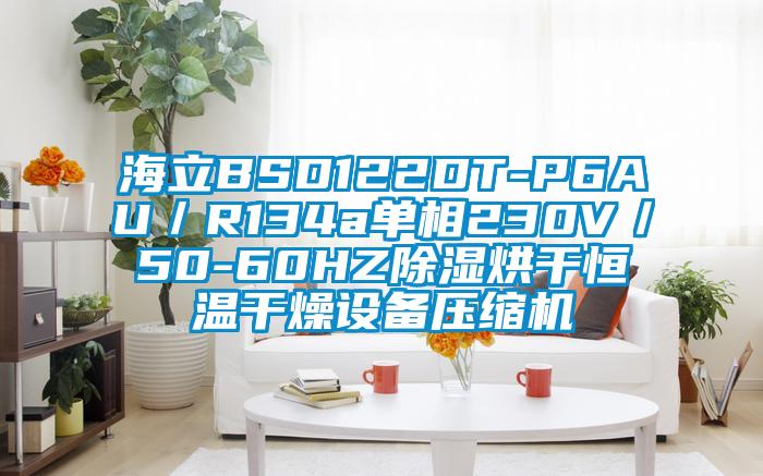 海立BSD122DT-P6AU／R134a單相230V／50-60HZ除濕烘干恒溫干燥設(shè)備壓縮機