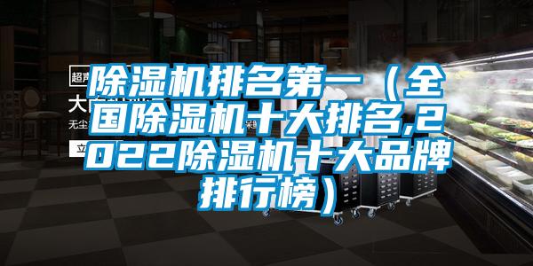 除濕機排名第一（全國除濕機十大排名,2022除濕機十大品牌排行榜）