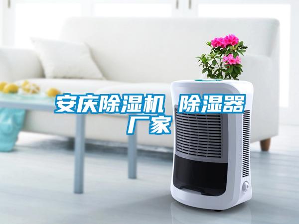 安慶除濕機 除濕器廠家