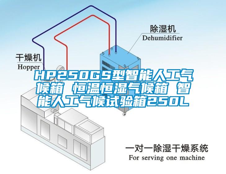 HP250GS型智能人工氣候箱 恒溫恒濕氣候箱 智能人工氣候試驗(yàn)箱250L