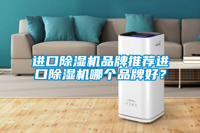 進口除濕機品牌推薦進口除濕機哪個品牌好？