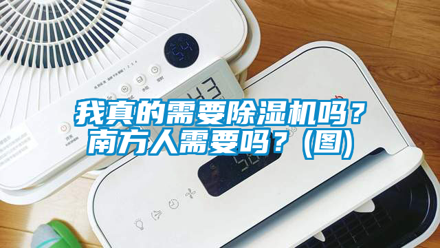 我真的需要除濕機嗎？南方人需要嗎？(圖)