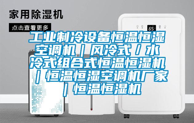 工業(yè)制冷設備恒溫恒濕空調(diào)機｜風冷式／水冷式組合式恒溫恒濕機｜恒溫恒濕空調(diào)機廠家｜恒溫恒濕機