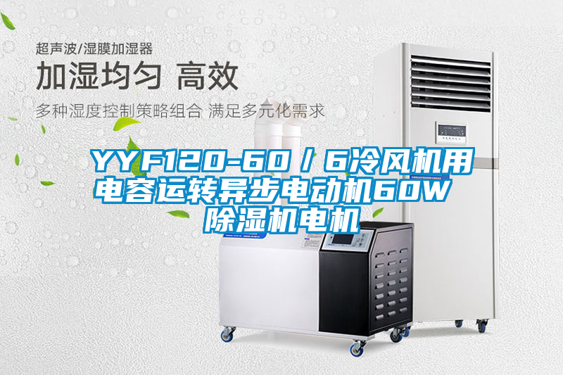 YYF120-60／6冷風機用電容運轉(zhuǎn)異步電動機60W 除濕機電機