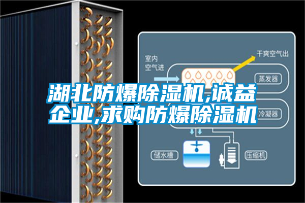 湖北防爆除濕機(jī),誠(chéng)益企業(yè),求購(gòu)防爆除濕機(jī)