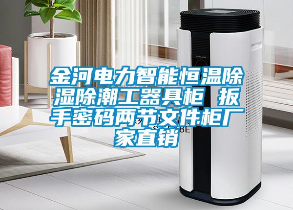 金河電力智能恒溫除濕除潮工器具柜 扳手密碼兩節(jié)文件柜廠家直銷(xiāo)