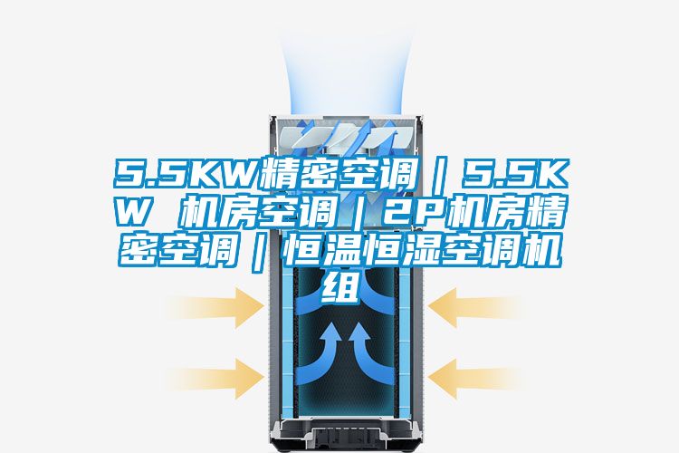 5.5KW精密空調｜5.5KW 機房空調｜2P機房精密空調｜恒溫恒濕空調機組